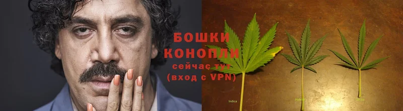 купить наркотики цена  Адыгейск  гидра ссылки  Бошки Шишки Ganja 